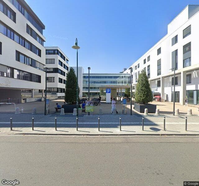 Bärenfamilie Darmstadt GmbH