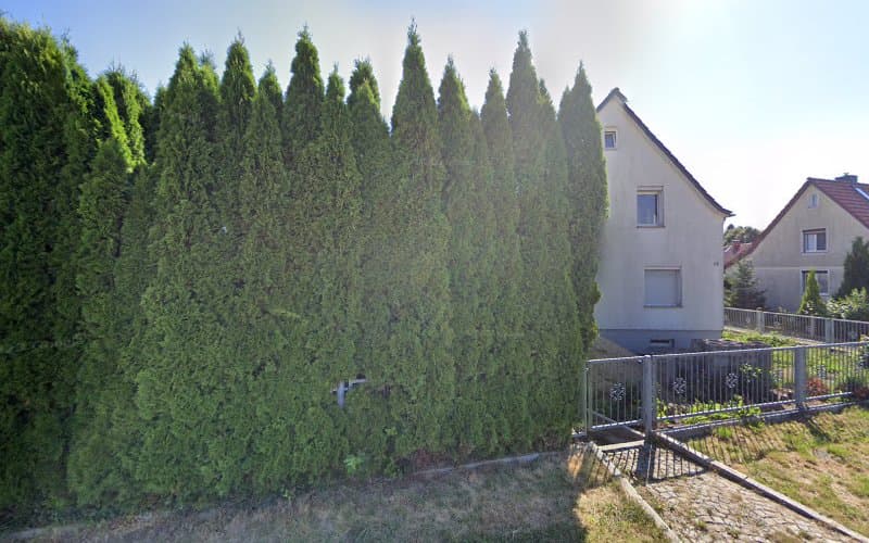 BPS Betreuung-Pflege-Service UG (haftungsbeschränkt)