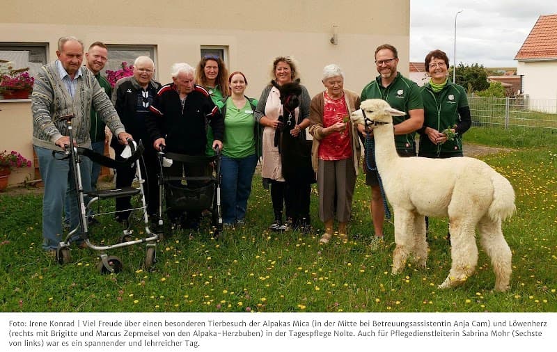 Nolte Tagespflege Hausen