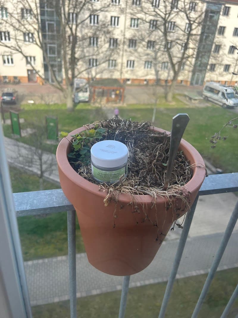 Foto von Tagespflege im Städtischen Altenpflegeheim Martin Andersen Nexö